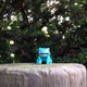 Illustration for article titled Welcome to Project Bulbasaur Botany